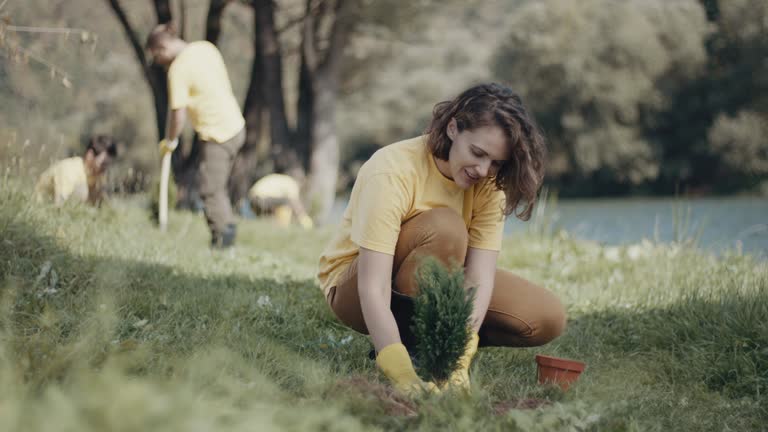 Best Lawn Irrigation Installation and Maintenance  in Lake Placid, NY